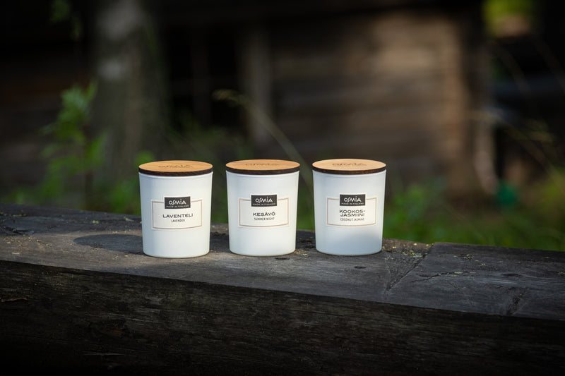 Lapland dry wood scented candle (150g)